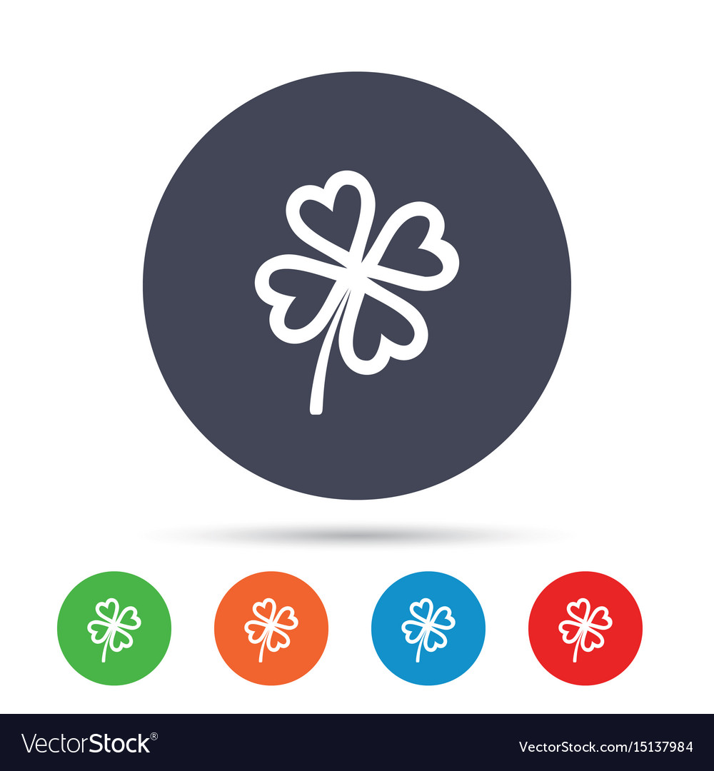 Clover with four leaves sign st patrick symbol Vector Image