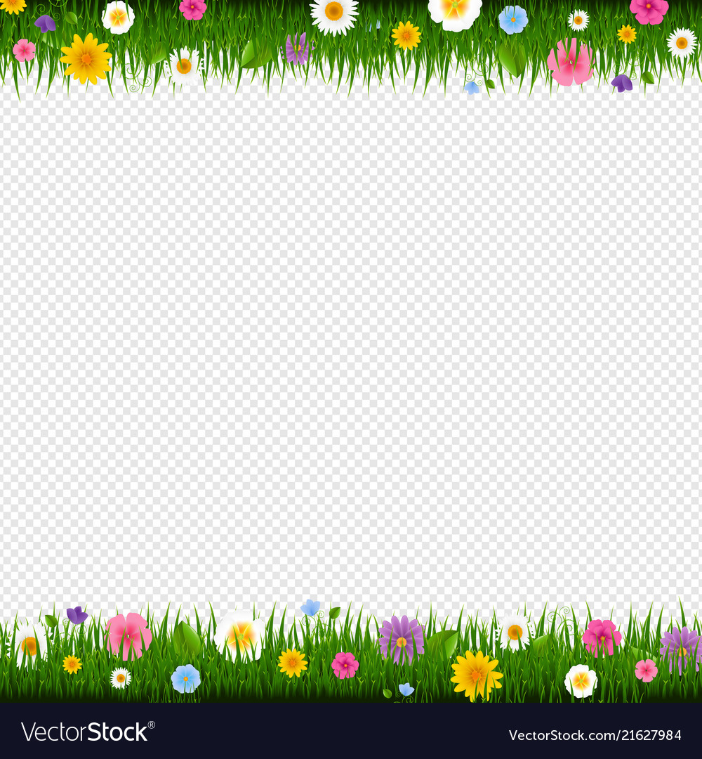 Grass and flowers border transparent background Vector Image