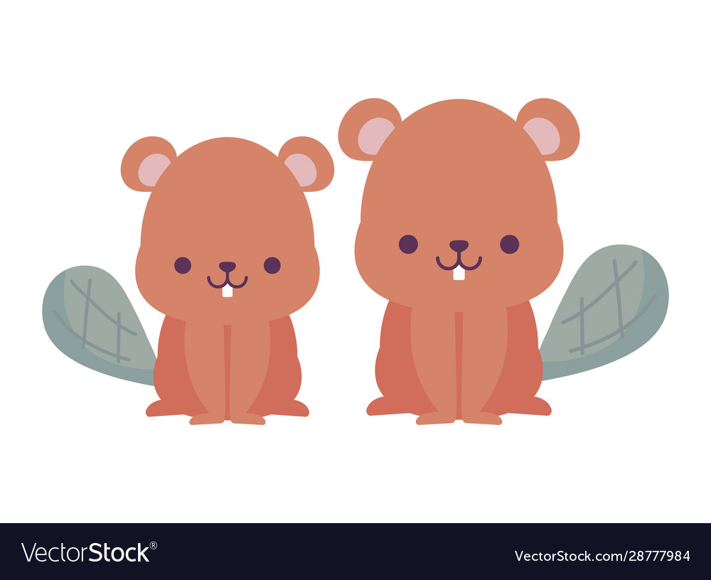 Kawaii beavers cartoons design