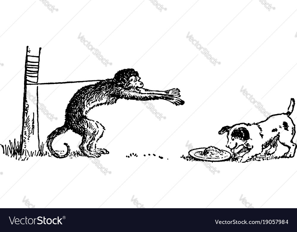 Monkey and the dog vintage