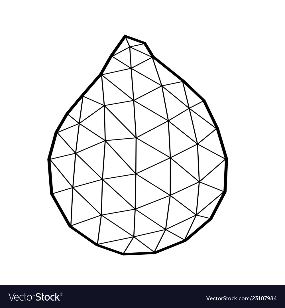 Polygonal salak salacca or zalacca fruit Vector Image