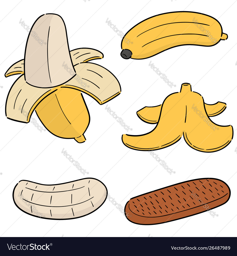 Set banana vector image Set banana