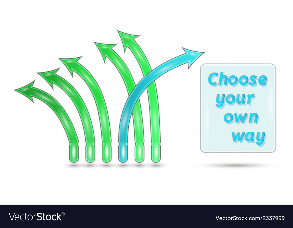 Choose your own way