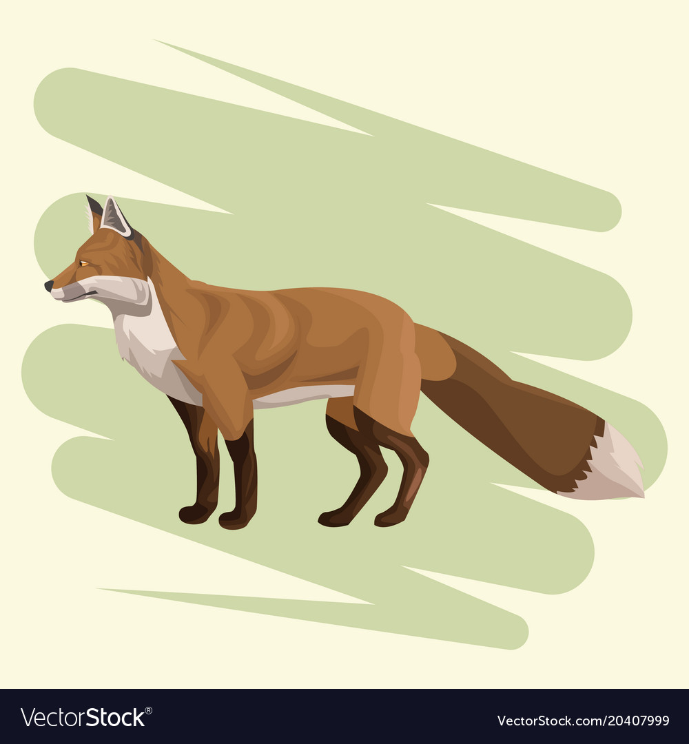 Fox art drawing Royalty Free Vector Image - VectorStock