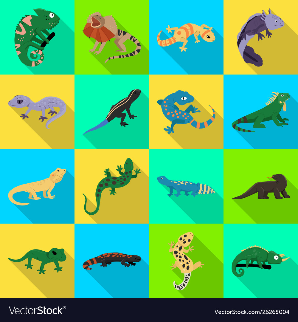 Isolated object tail and fauna icon set vector image Isolated object tail and fauna icon set