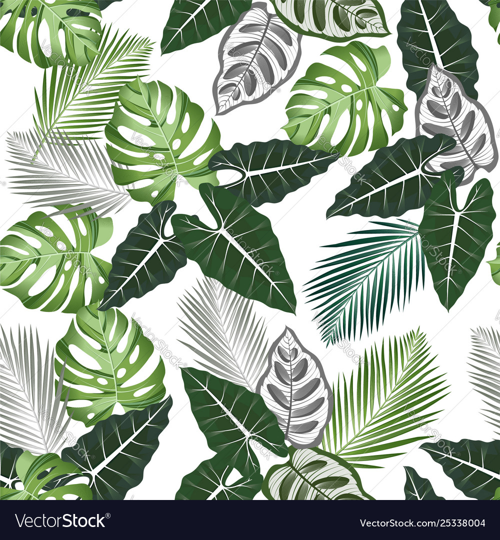 Seamless pattern with tropical leaves alocasia vector image Seamless pattern with tropical leaves alocasia