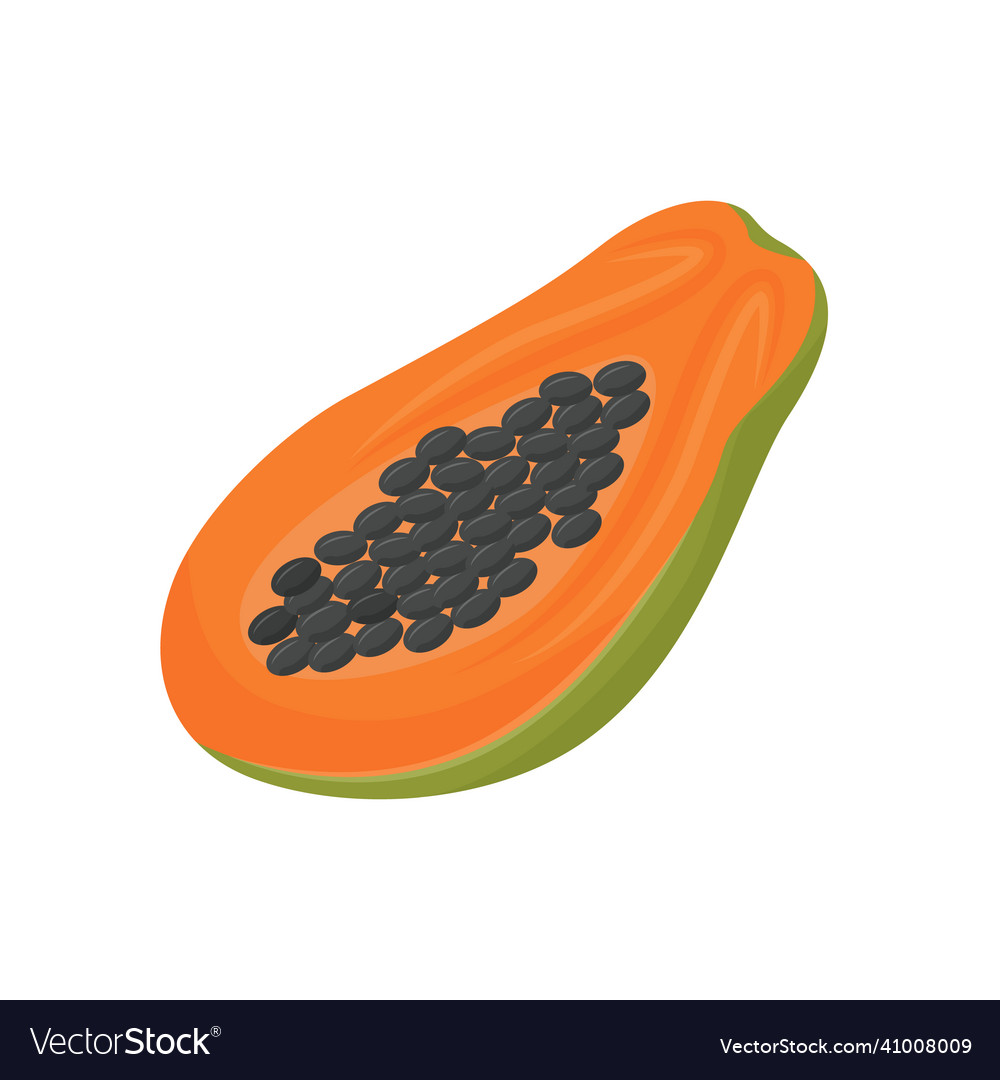 Papaya cartoon organic food sweet dessert ripe Vector Image