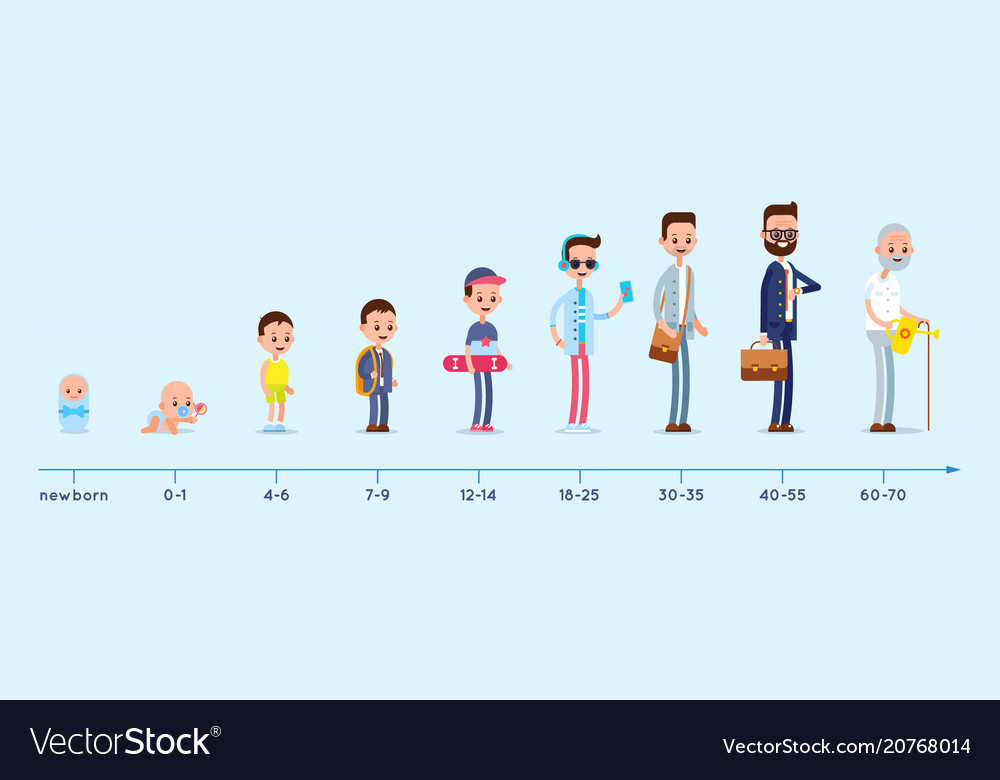 Stages of growing up life cycle graph Royalty Free Vector