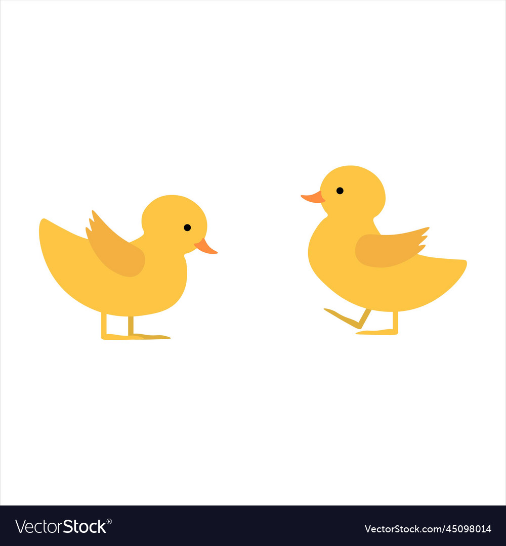 Two cute ducklings Royalty Free Vector Image - VectorStock