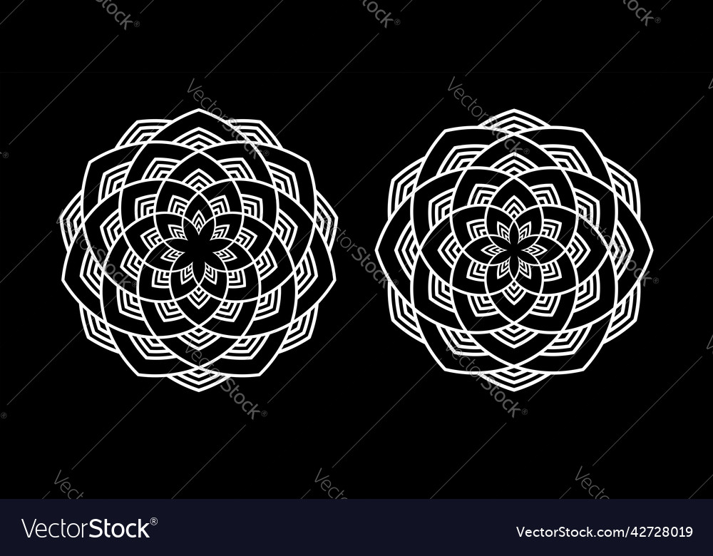 Circle patterns vector image Circle patterns