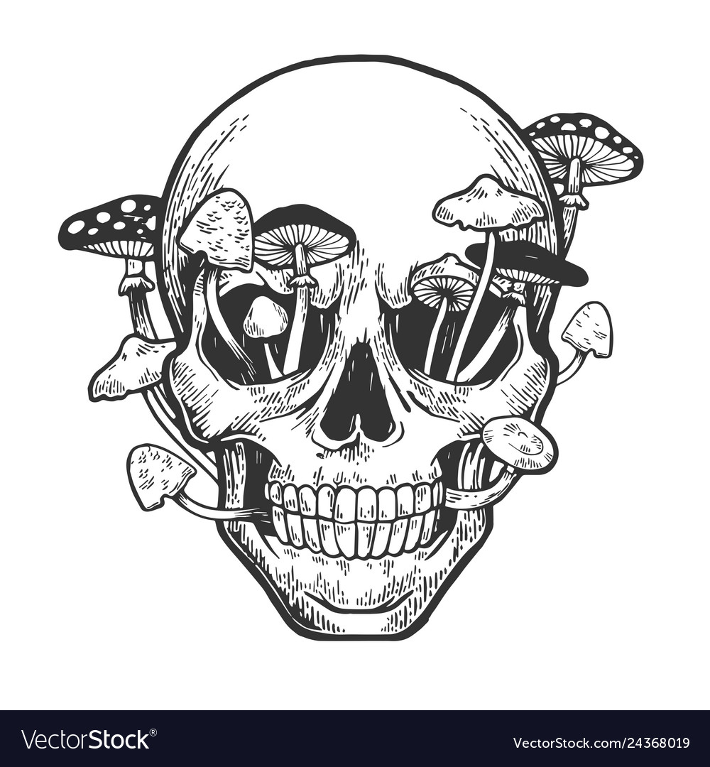 Human skull with mushrooms sketch engraving Vector Image