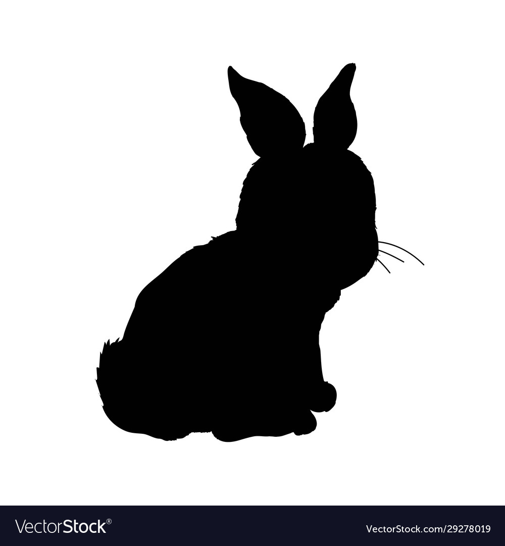 Rabbit icon sign symbol on white Royalty Free Vector Image