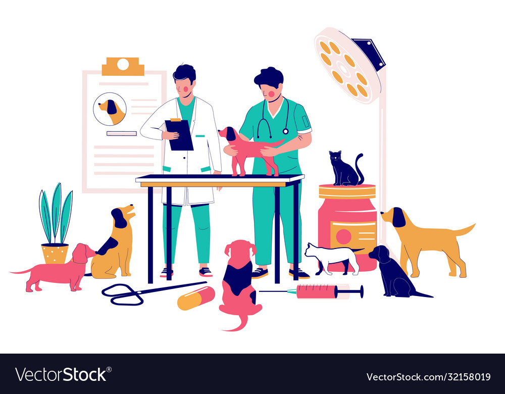 Veterinary clinic services flat style Royalty Free Vector