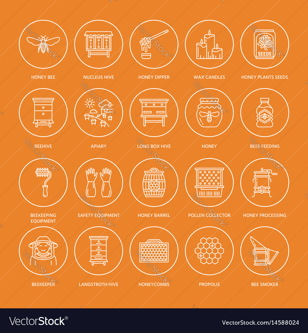 Beekeeping Line Icons - Honey & Bees