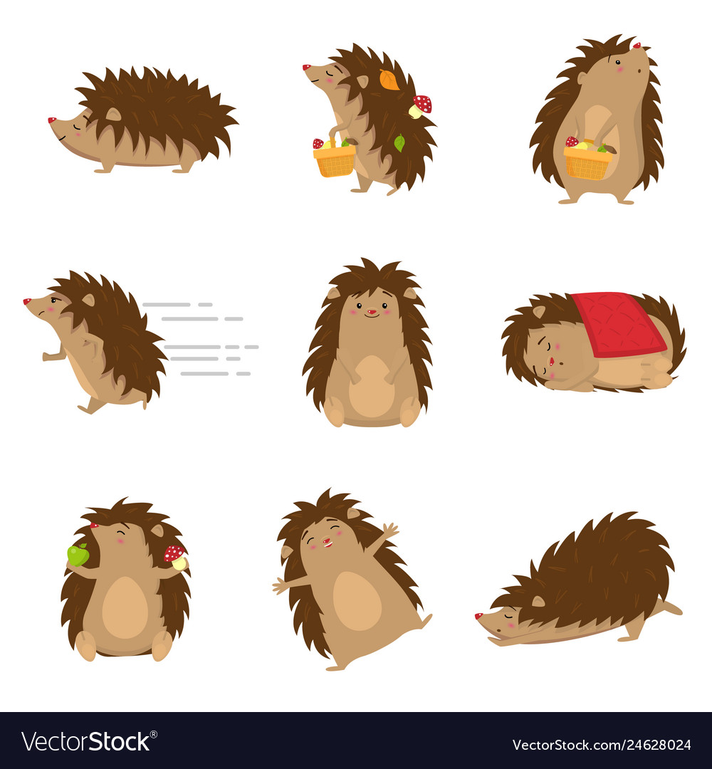 Cute hedgehogs in different poses set isolated