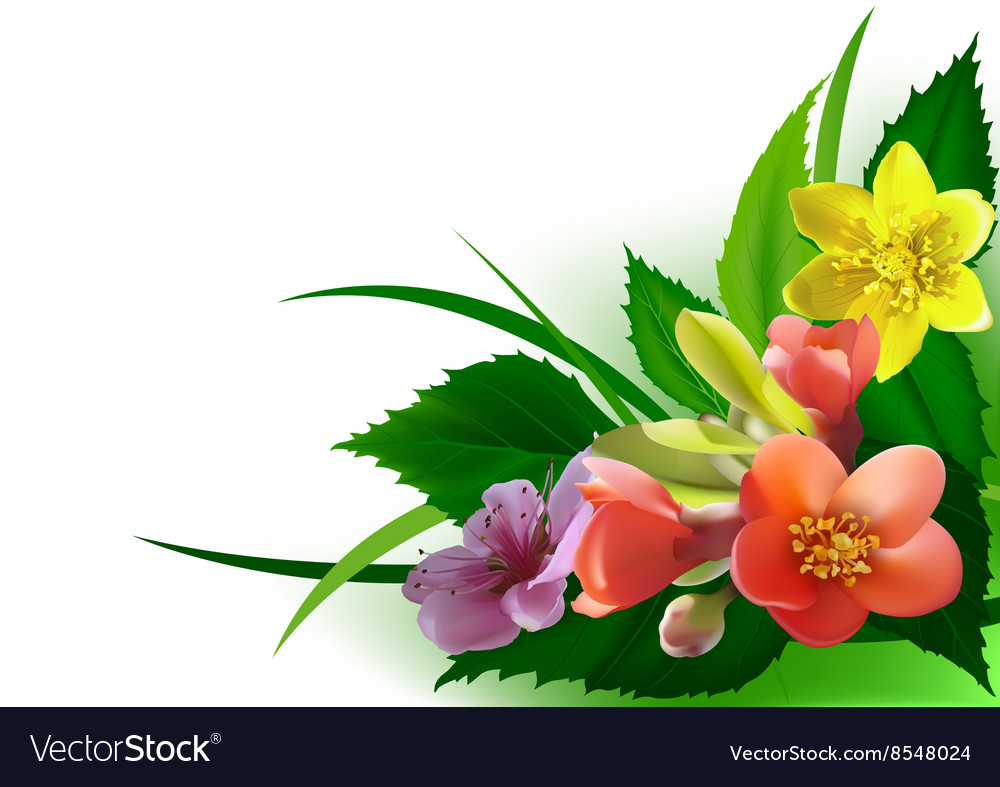 Download Flowers corner Royalty Free Vector Image - VectorStock