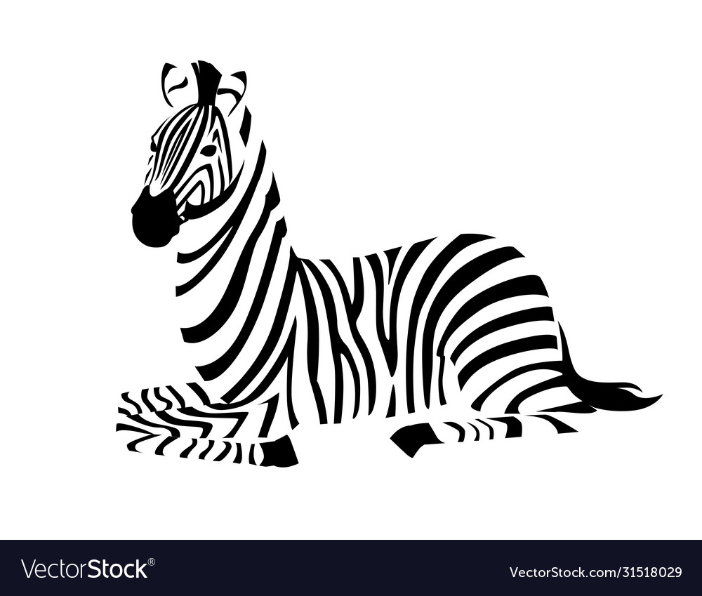 Afrikanische Zebra liegt auf der Grundseite