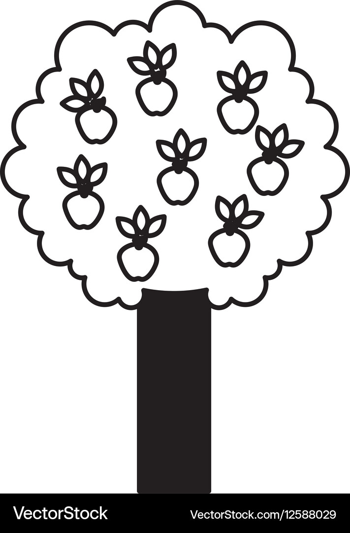 Apple tree isolated icon Royalty Free Vector Image