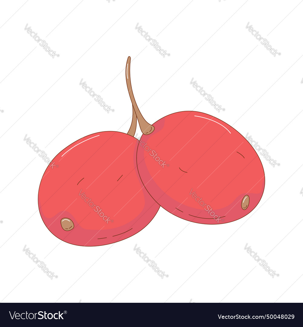 Hand drawn cherry fruit creative Royalty Free Vector Image