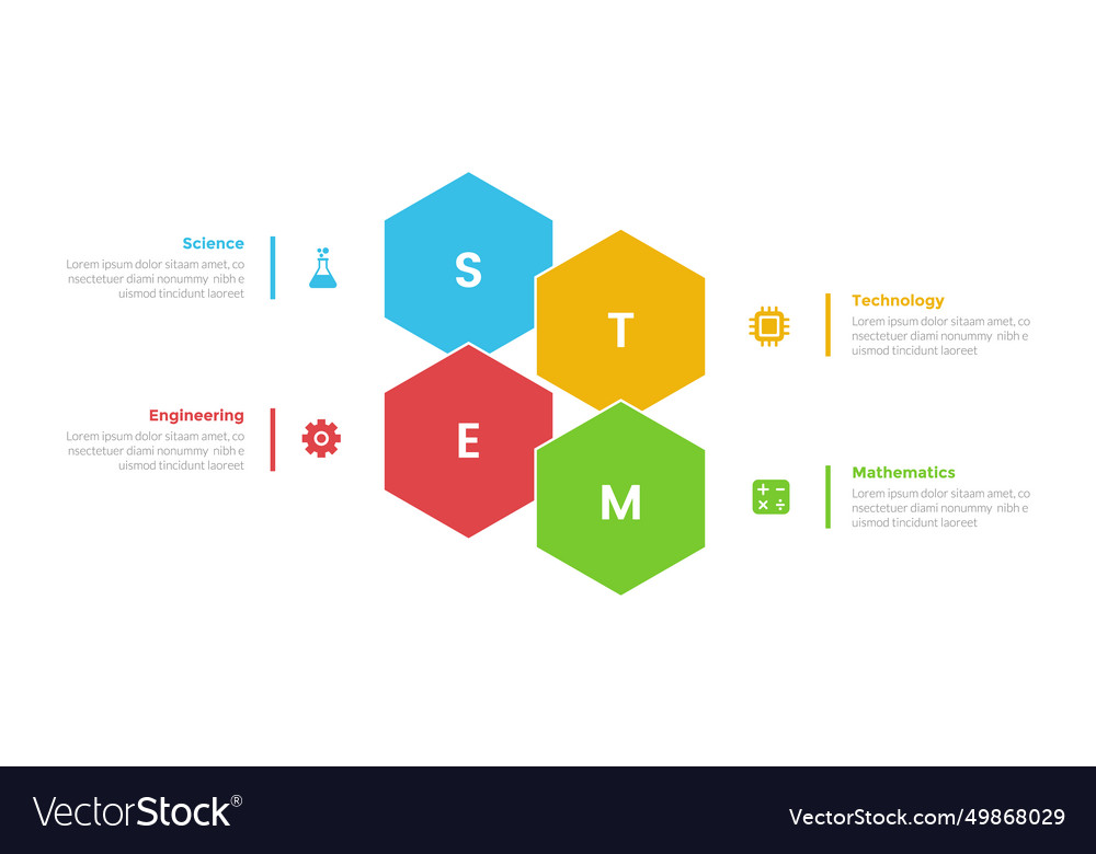 Stem education infographics template diagram Vector Image