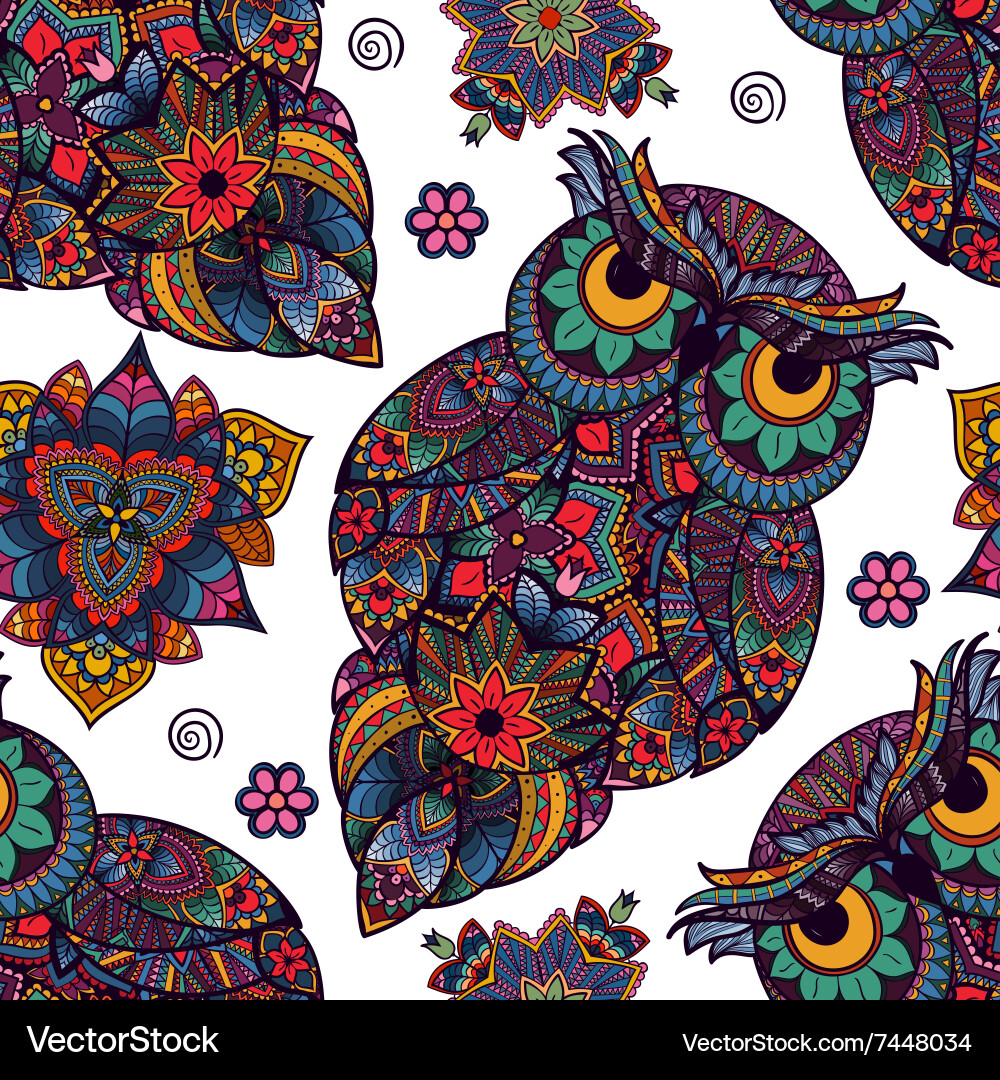 Owl bird Royalty Free Vector Image - VectorStock