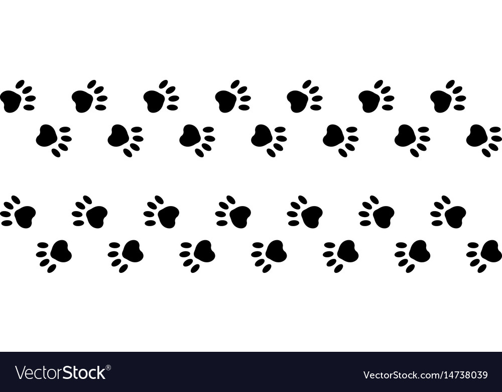 Animal Paw Prints
