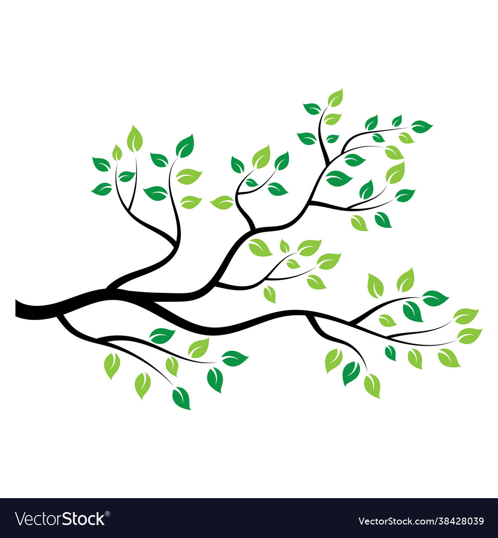 Tree branch design Royalty Free Vector Image - VectorStock