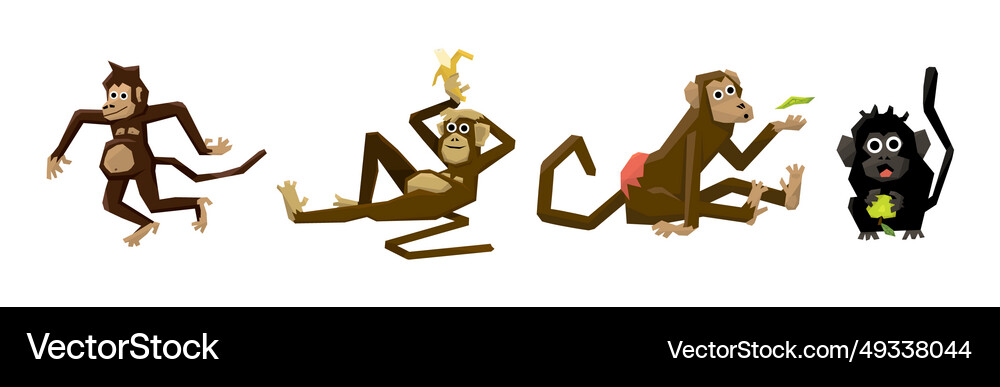 Different funny monkey and african primates Vector Image
