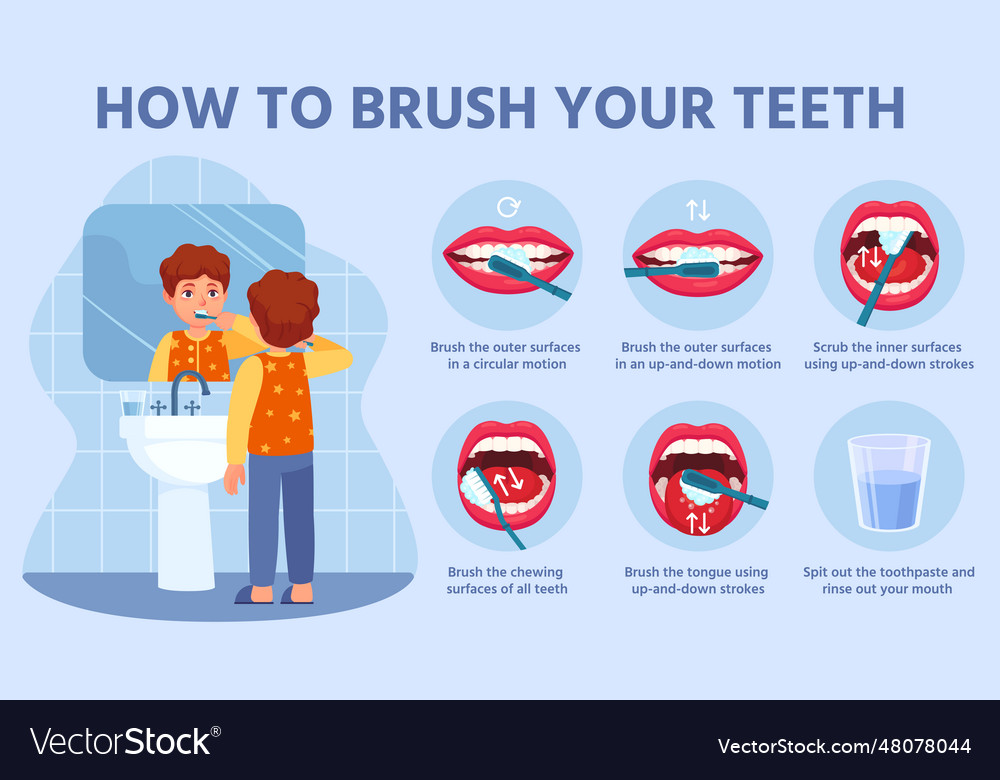 Kid brush teeth correct tooth brushing step by Vector Image