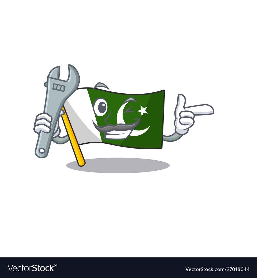 Mechanic flag pakistan isolated in cartoon Vector Image