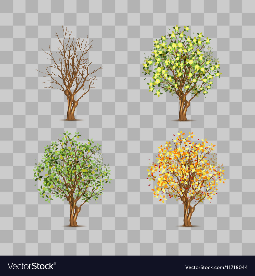 Seasonal Tree Collection