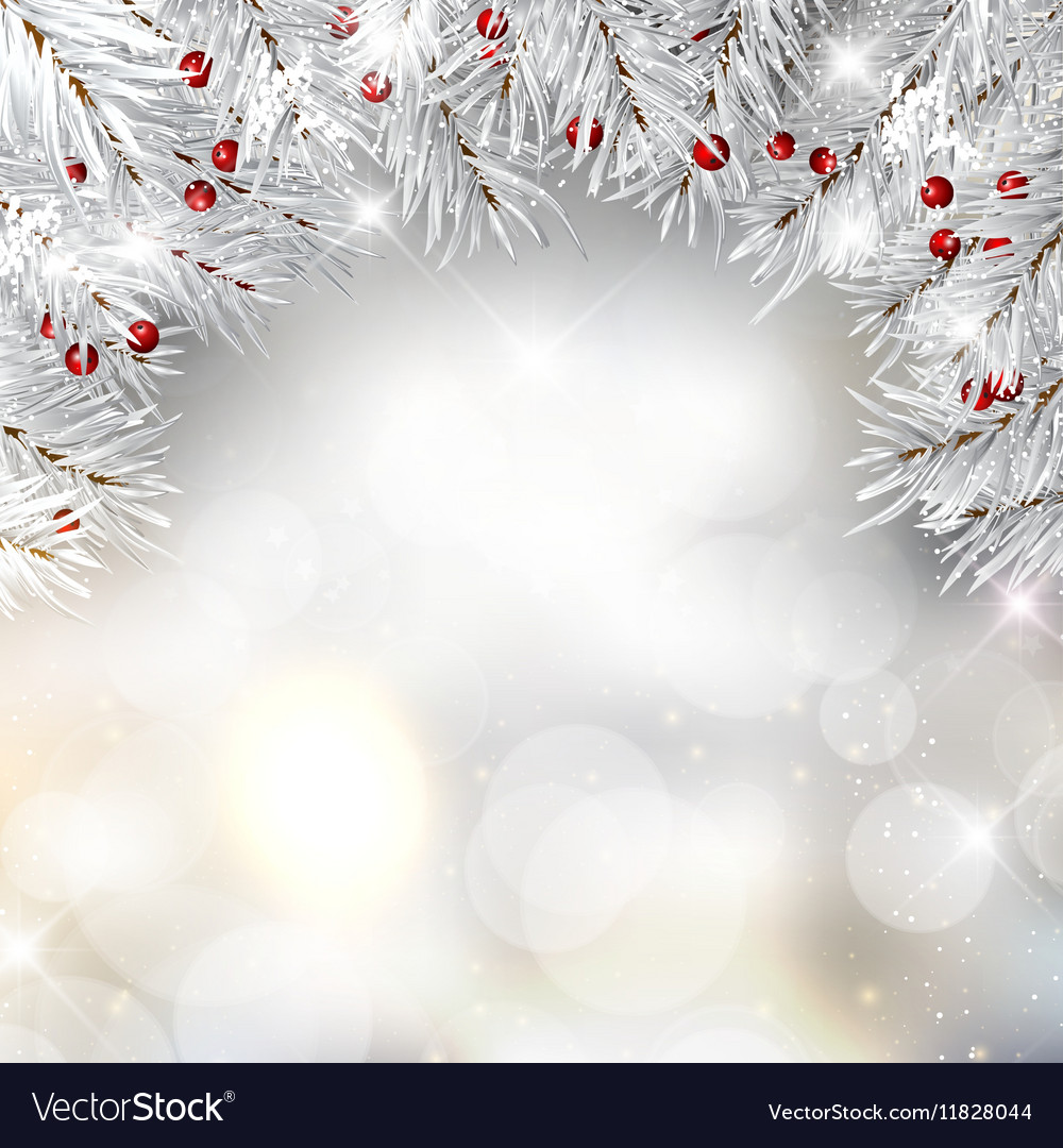 Silver christmas tree branches and berries Vector Image