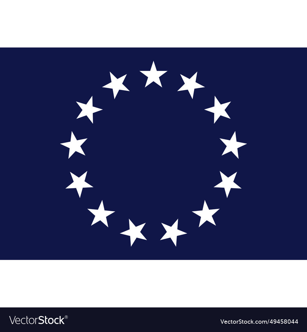 Usa foreign service flag Royalty Free Vector Image