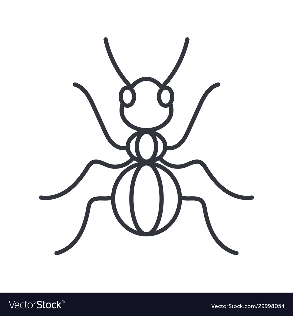 Ant insect line detail style icon