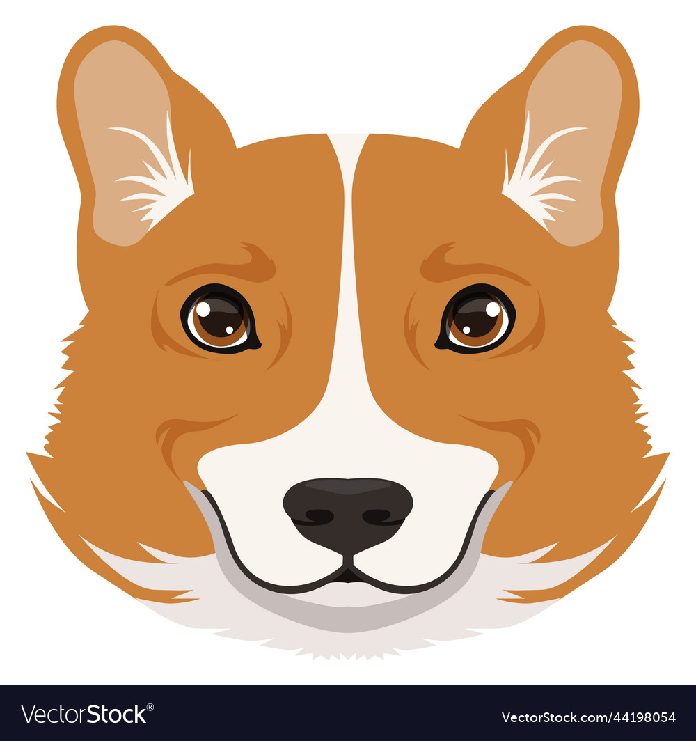 Corgi face icon cute cartoon dog head Royalty Free Vector