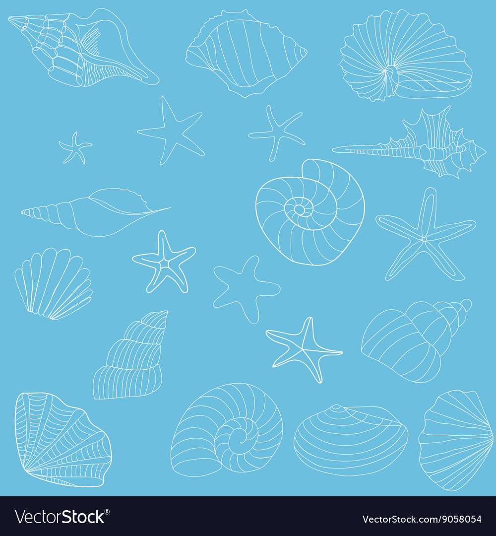 Seashells and starfish pattern