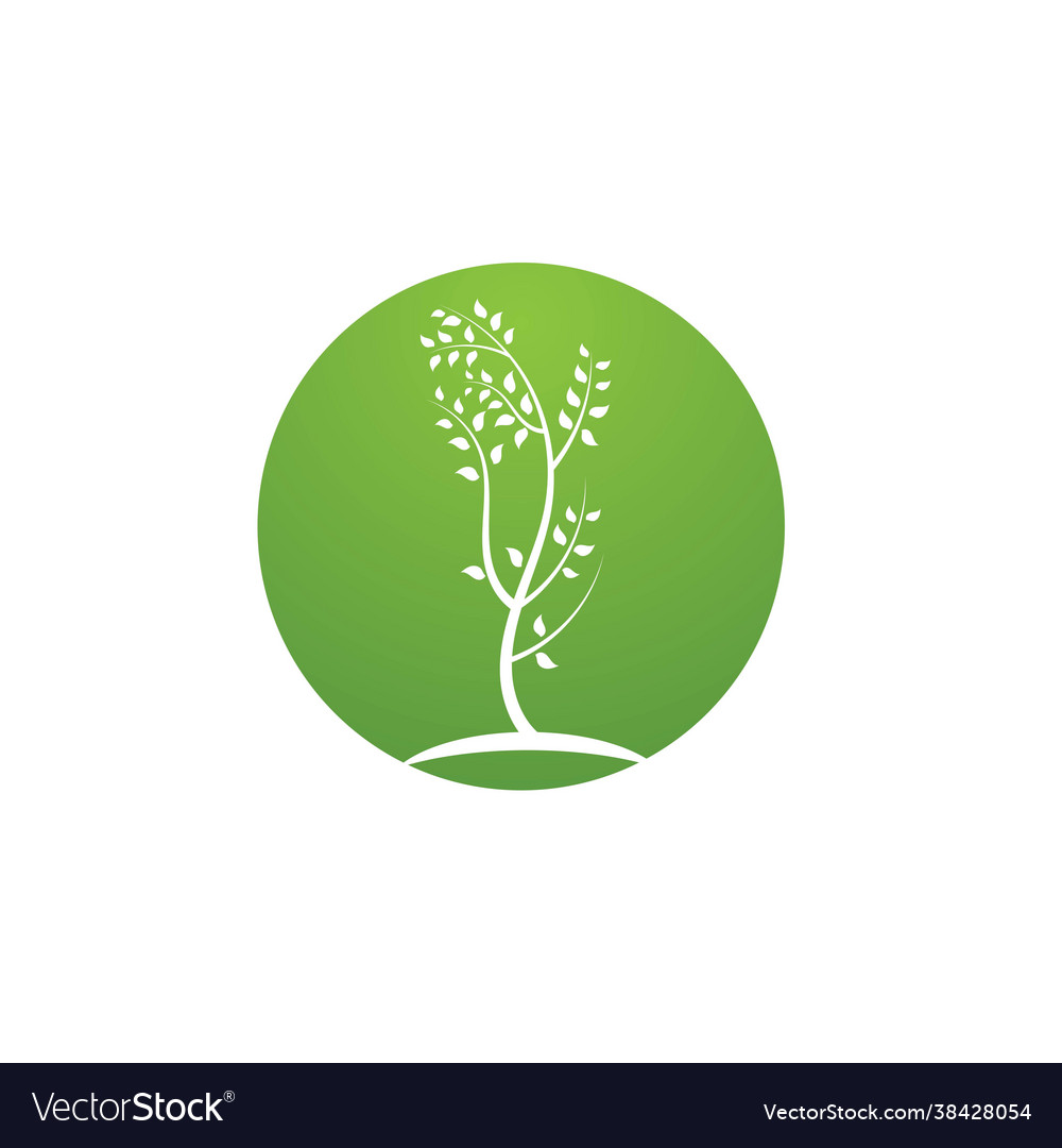 Tree branch design Royalty Free Vector Image - VectorStock