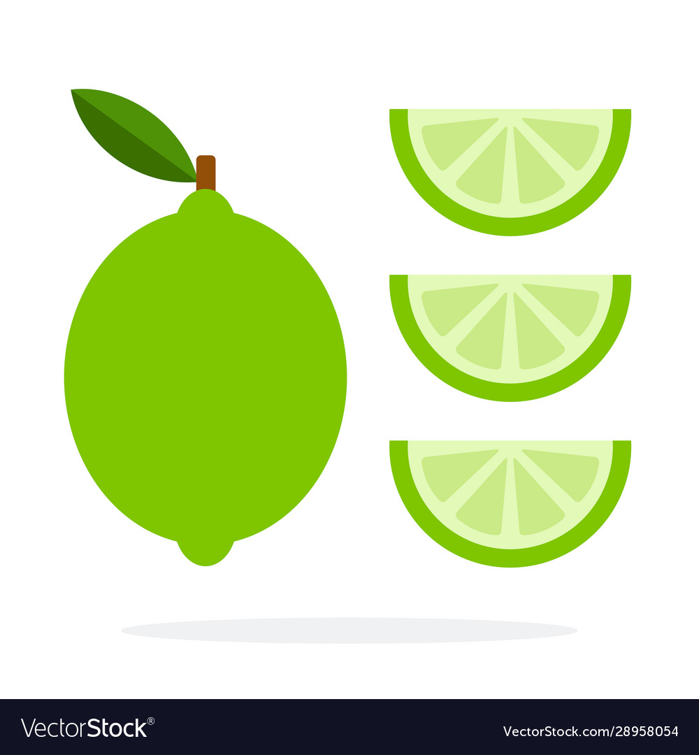 Whole lime vertically and three wedges Vector Image Whole lime vertically and three wedges