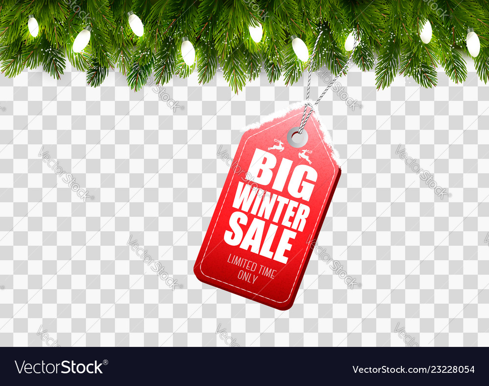 Winter sale tag with christmas branches of tree Vector Image