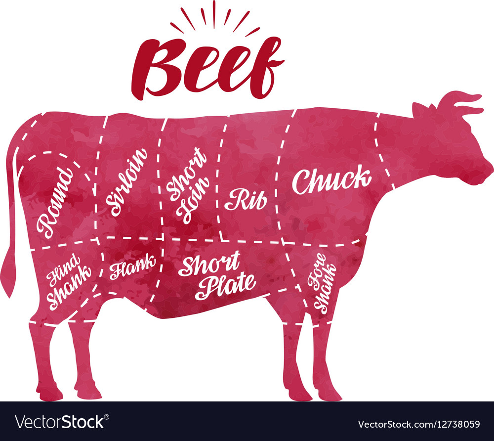 Cow Chart Cuts Of Beef