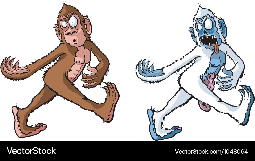 Sasquatch Royalty Free Vector Image - VectorStock