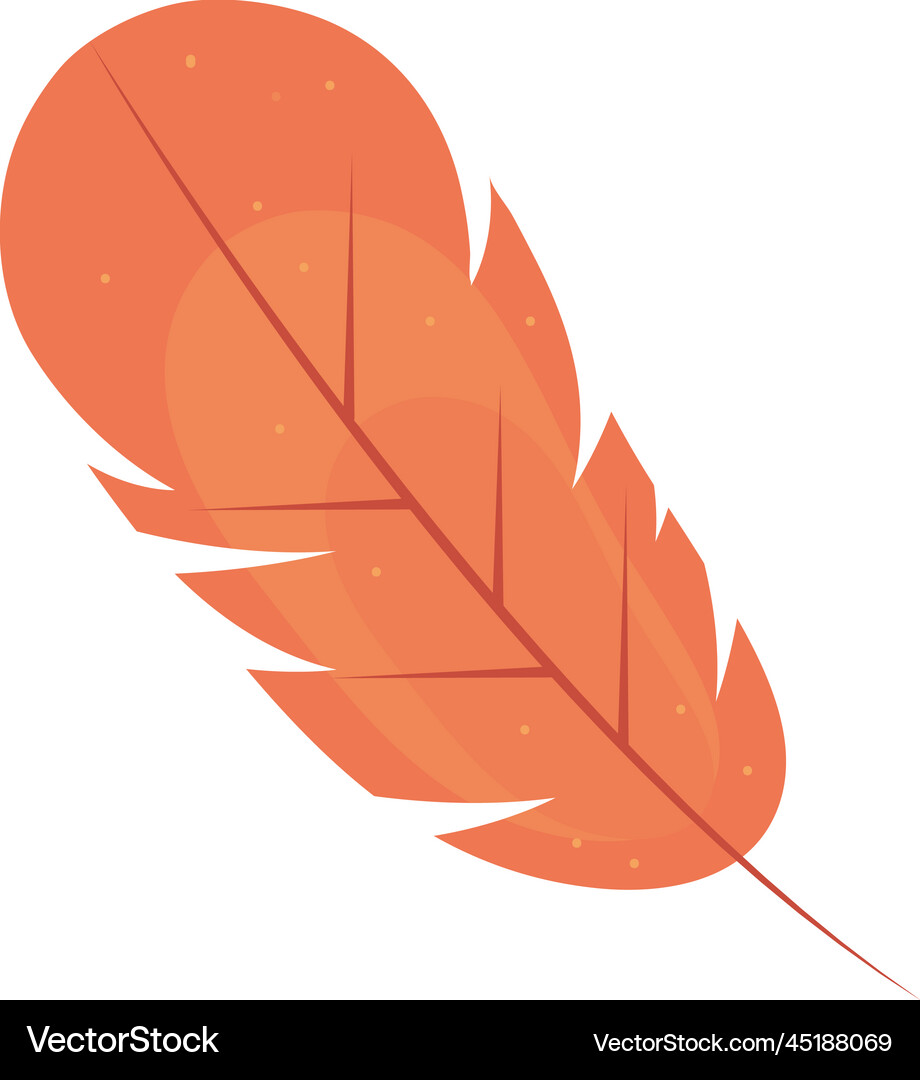 Feather boho wild Royalty Free Vector Image - VectorStock