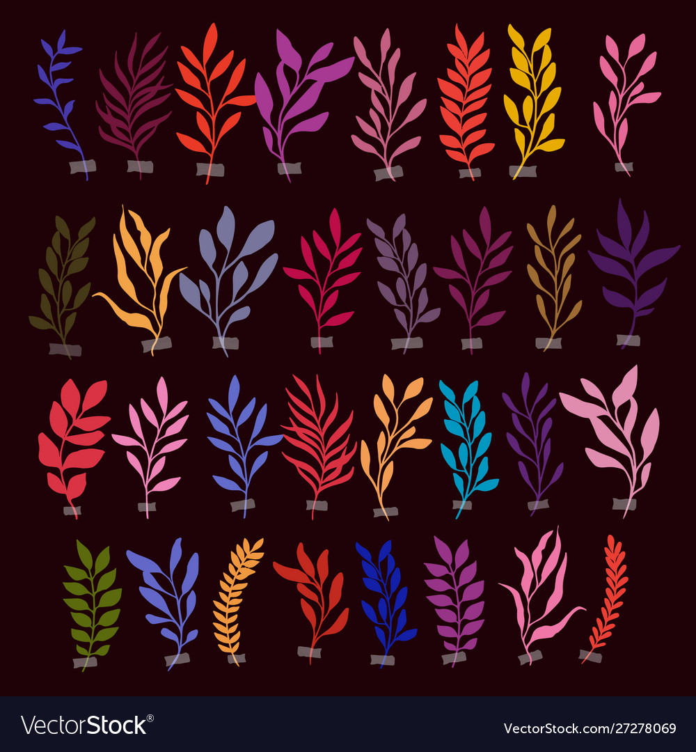 Set botanic clipart