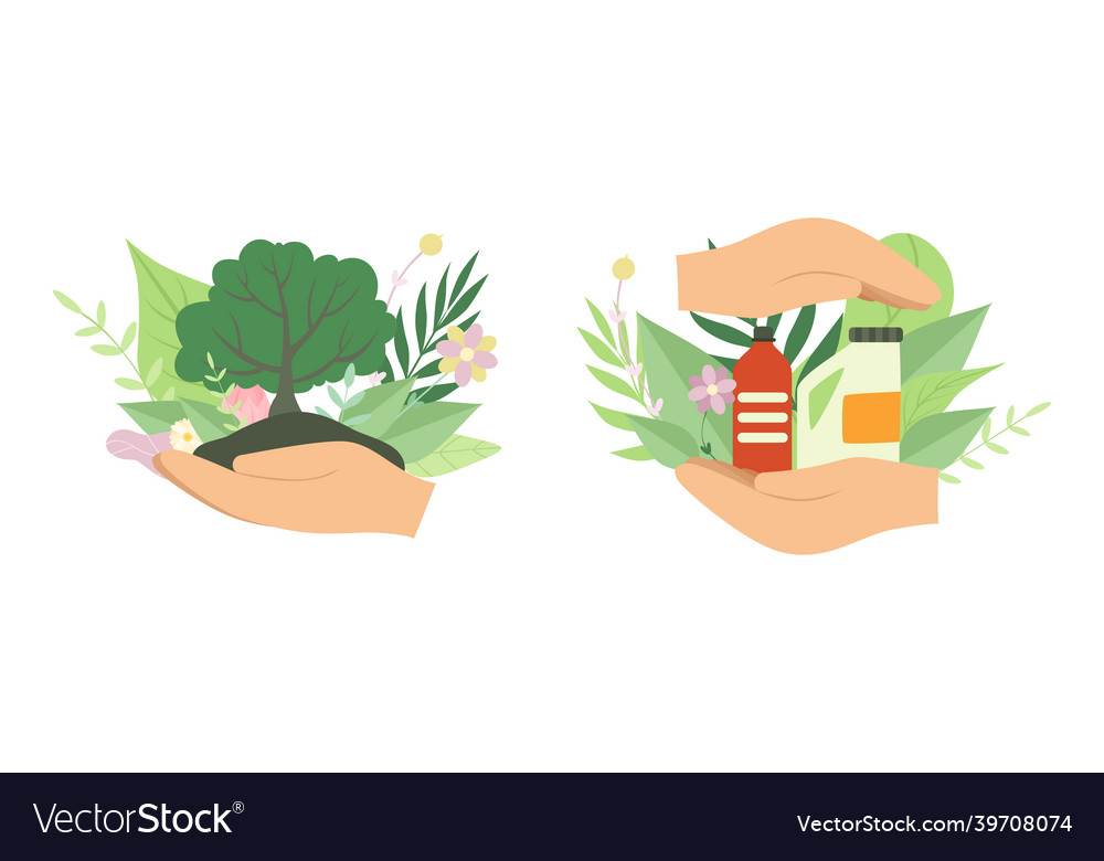 Human hands holding green foliage as environmental