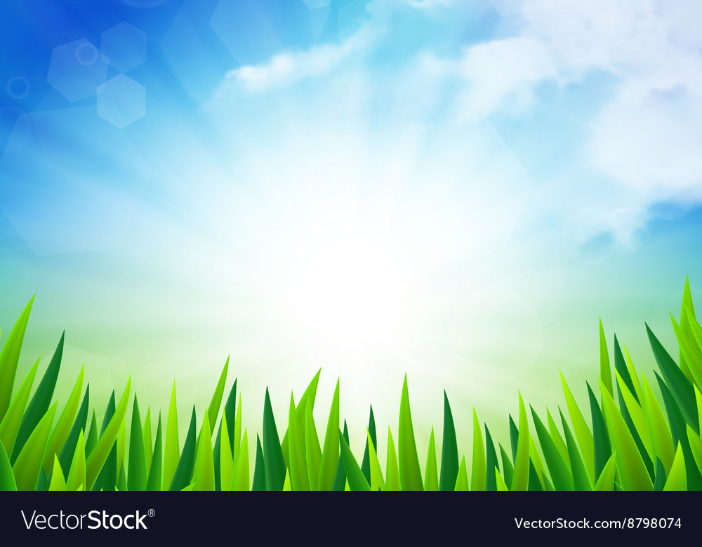 Sunny summer background