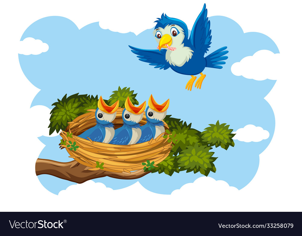 Chicks and its mother bird in nature Royalty Free Vector