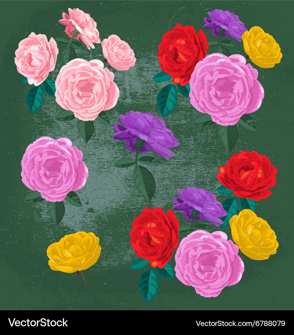 Rose Royalty Free Vector Image - VectorStock