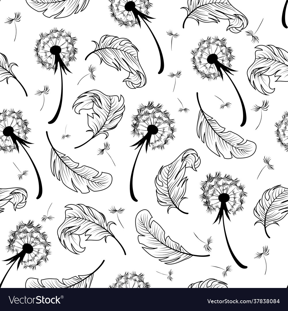 Pattern with dandelions and feathers vector image Pattern with dandelions and feathers