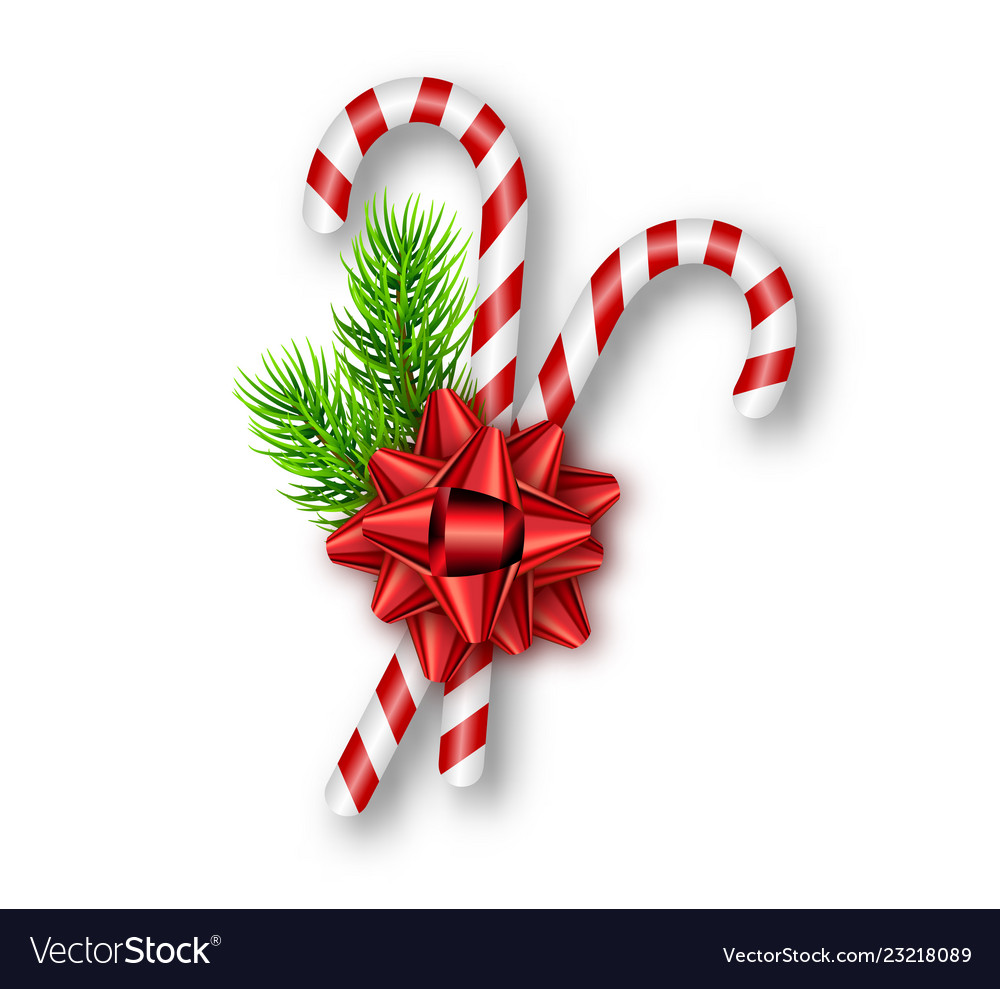 Holiday red bow fir tree branches candy canes vector image Holiday red bow fir tree branches candy canes