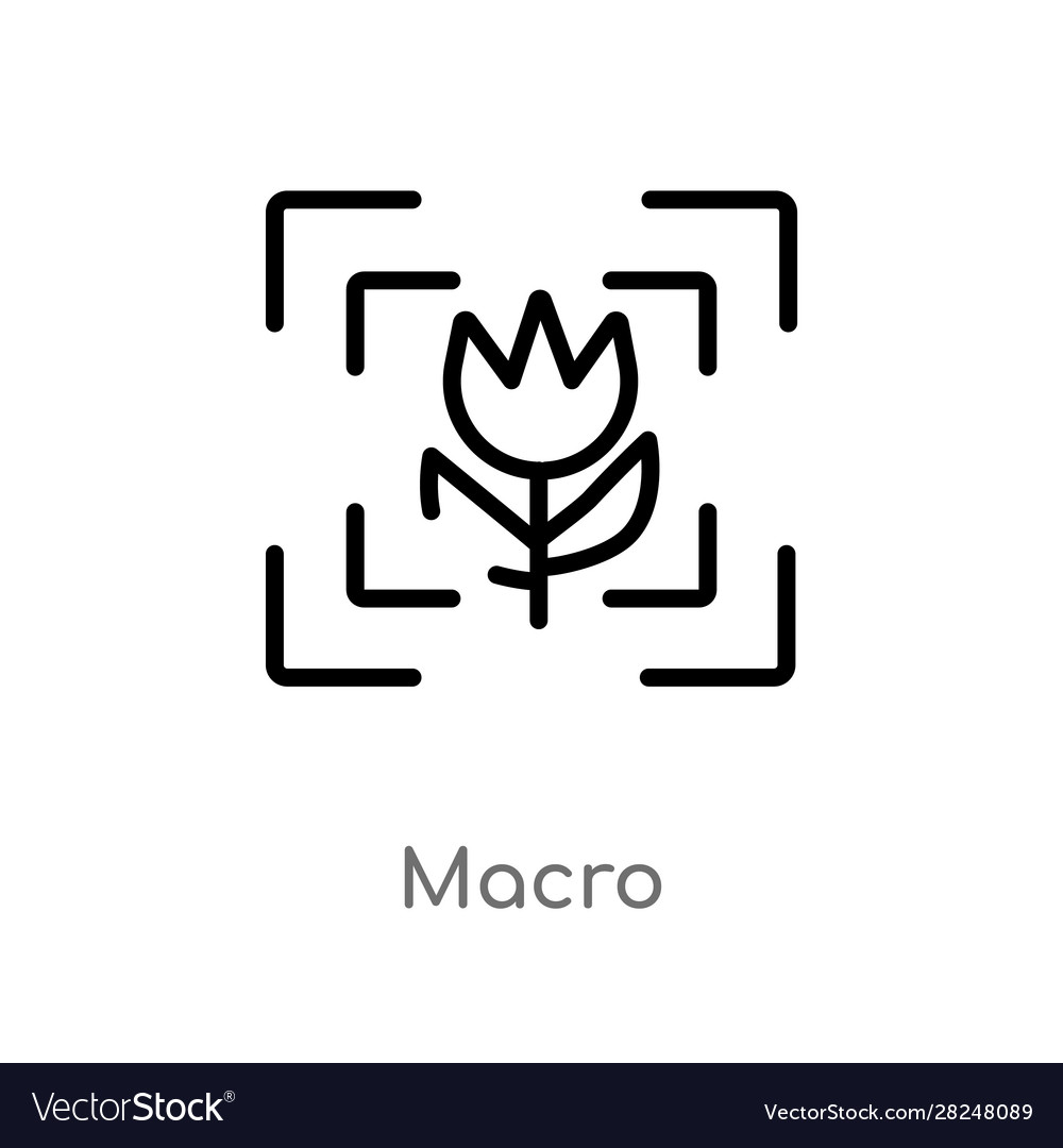 Outline macro icon isolated black simple line